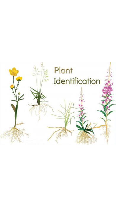 Plant Identification - Snap ID Screenshot 1