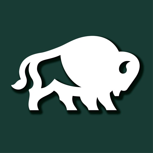 PlainsCapitalBusiness for iPad