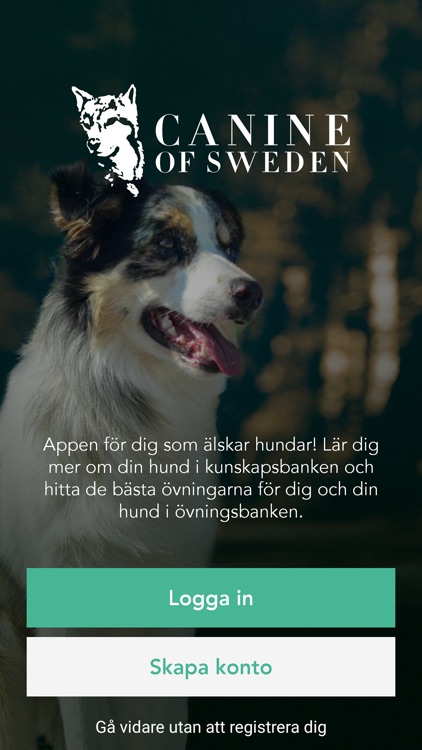 Canine of Sweden