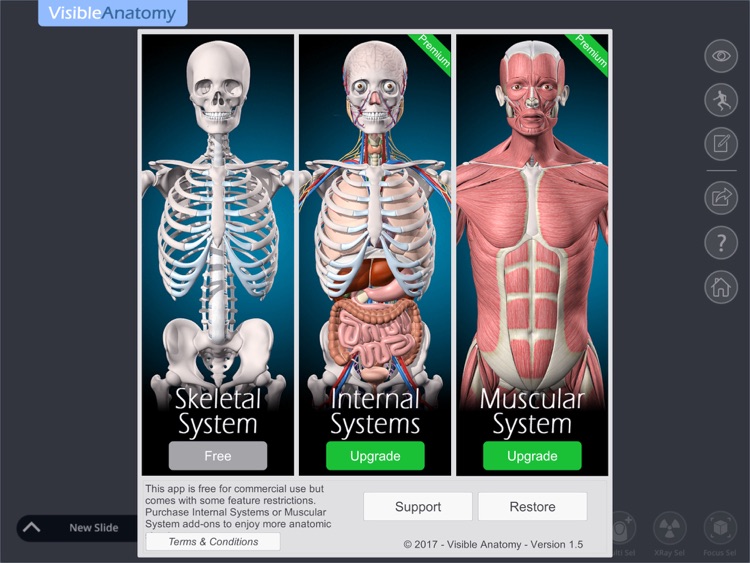 Visible Anatomy screenshot-4