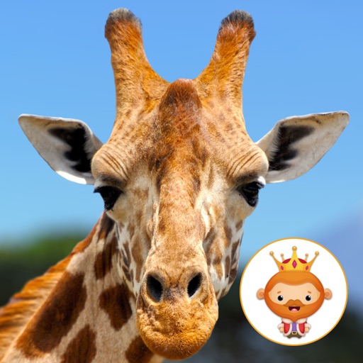 African Animal Jigsaw Puzzles for kids & toddlers