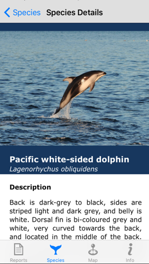 WhaleReport(圖4)-速報App