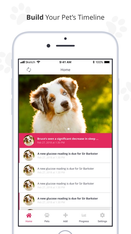 PetDialog