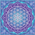 LiveMeditation