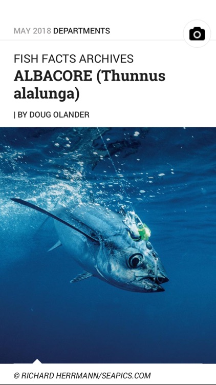 Sport Fishing Mag screenshot-3