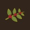 Welcome to the Heine Brothers' Coffee Perks app