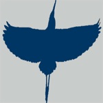 Flying Birds With Math Trivia