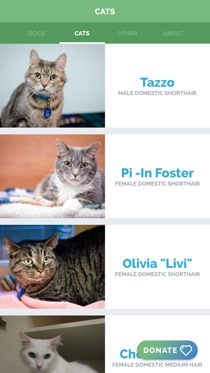 Arlington Pets