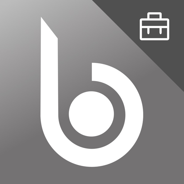 BLUINK IDENTITY INTUNE