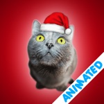 Cute Christmas Cats animated