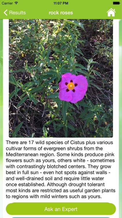 Garden Answers Plant Id screenshot-4