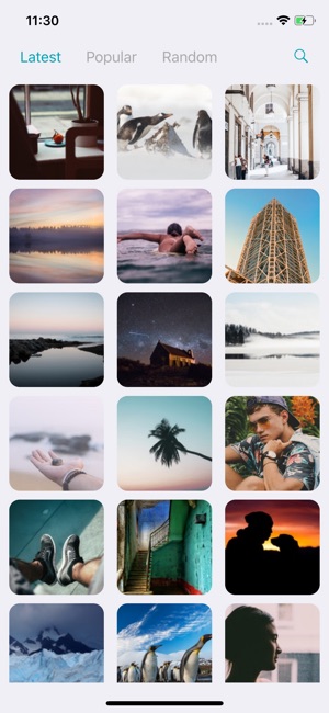 WallpApp - Perfect Wallpapers(圖2)-速報App