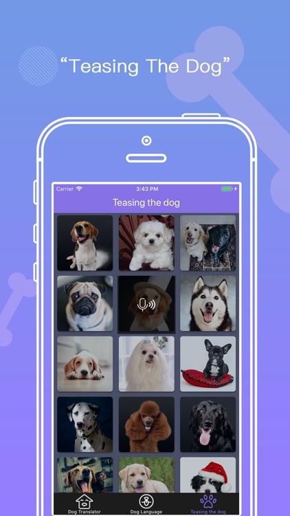 Dog translator-my dog whistle