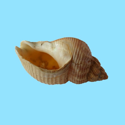 Seashell Stickers icon