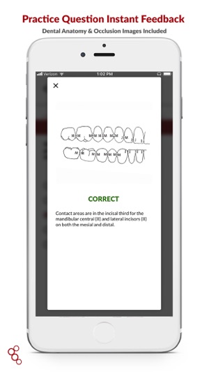 B&B Dental(圖6)-速報App