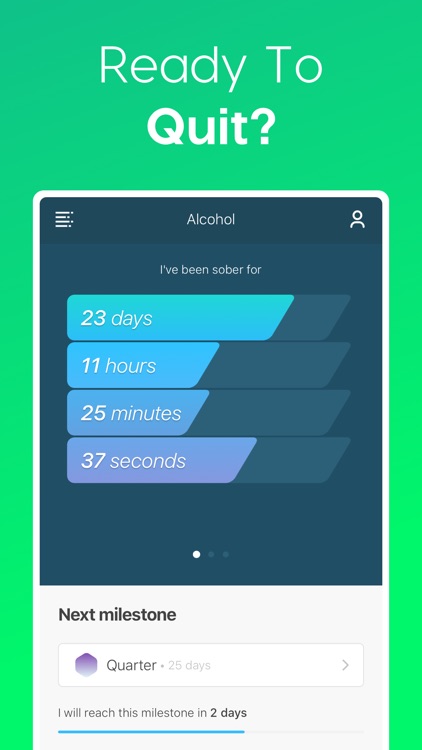 I Am Sober - Sobriety Counter screenshot-0