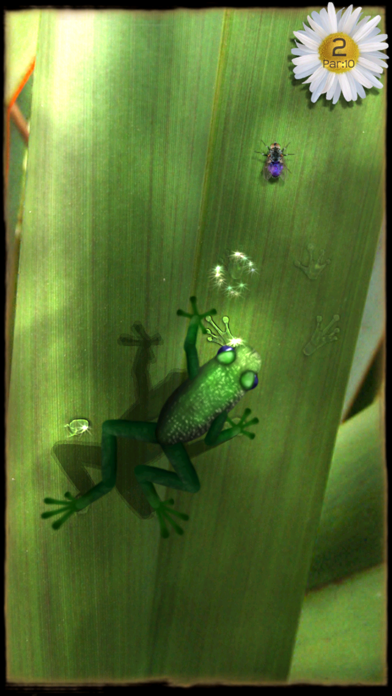 Ancient Frog screenshot1