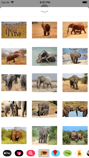 My Elephant Sticker Pack(圖1)-速報App