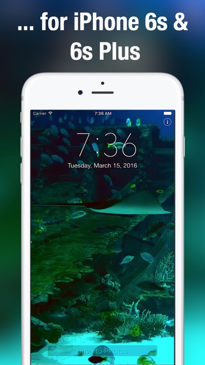 Aquarium Moving Wallpapers+ screenshot-4