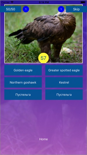 Bird Quiz - Name the Bird!(圖4)-速報App