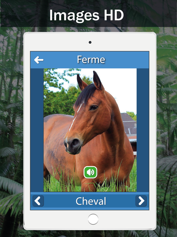 Screenshot #6 pour Sons d'animaux: Étude et jouer