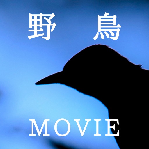 戸隠礼讃～MOVIE icon