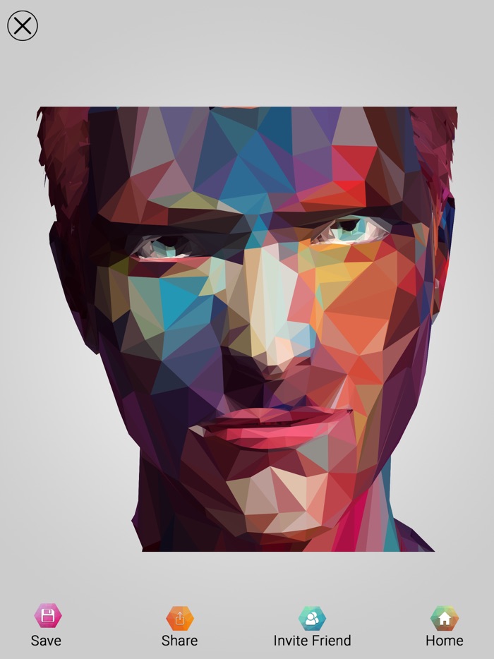 Poly Puzzle Paint By Numbers