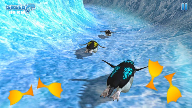 Penguin Waterslide Dash 2018
