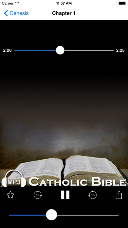 Audio Catholic Bible screenshot-3