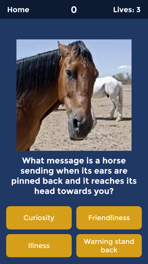 Horse Quiz by HayGrazer(圖2)-速報App