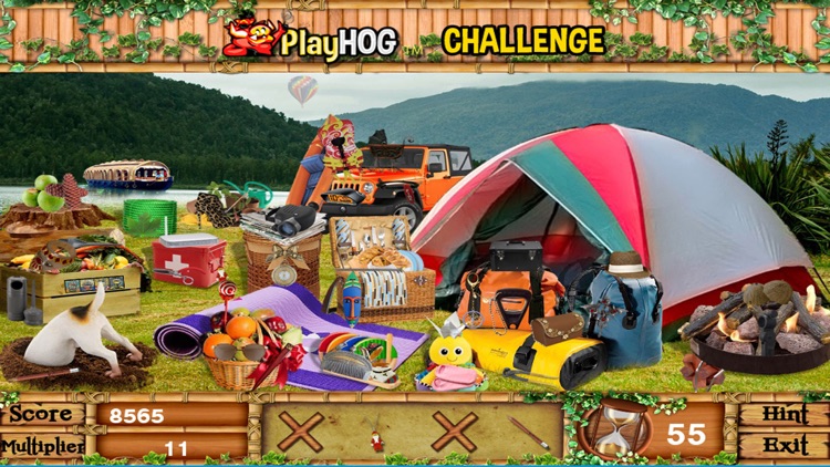Gone Camping Hidden Objects