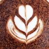 Skunkscape - Art of Coffee アートワーク