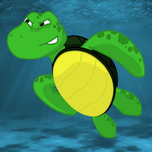 Turtle Leap Elite Icon