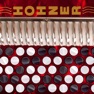Get Hohner Chromatic Accordion for iOS, iPhone, iPad Aso Report