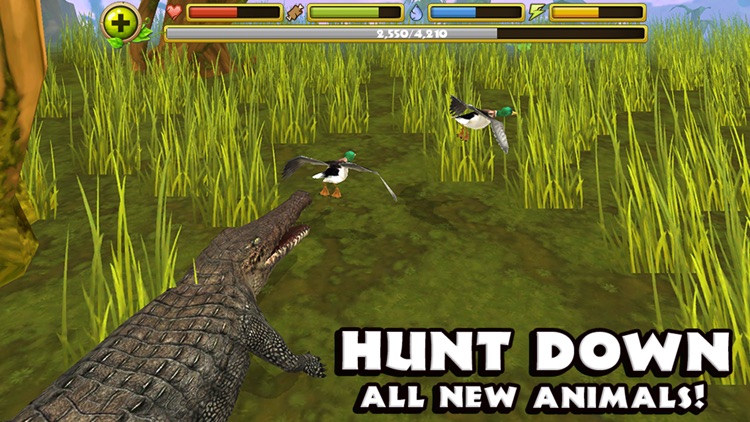 Wildlife Simulator: Crocodile screenshot-3