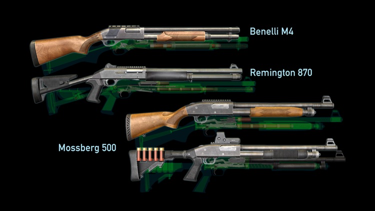 Gun Disassembly 2