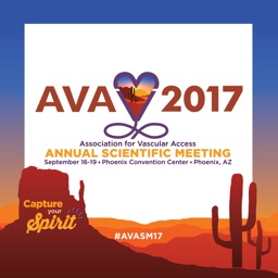 AVA 2017