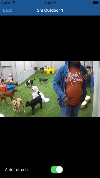 ODoggy
