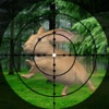 Sniper Wild Rabbit Hunting: 3d