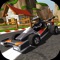 Go Kart Go