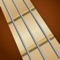 These Dulcimer Chord App includes over 700 chords in different tunings for the "Mountain Dulcimer"