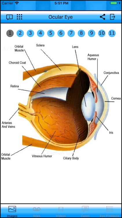 Ocular Eye