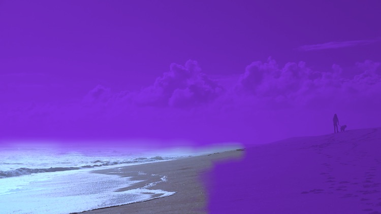 Cinemagraph Pro
