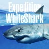 Marine Conservation Science Institute MCSI - Expedition White Shark  artwork