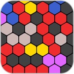 Block Fix Hexa Plus 1010