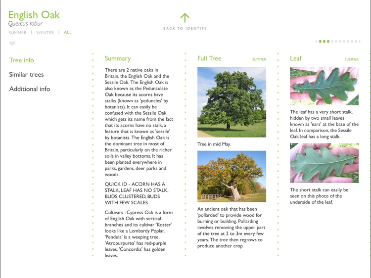 Tree Guide UK - Premium screenshot-3