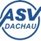 Volleyball Bundesliga in Dachau - hier gibt es alle Infos, Bilder und Berichte rund um den Volleyball beim ASV Dachau