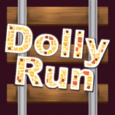 Activities of DollyRun