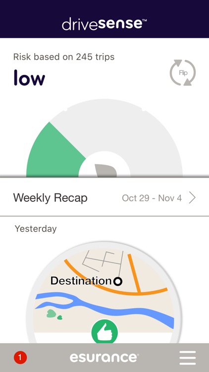 DriveSense mobile by Esurance