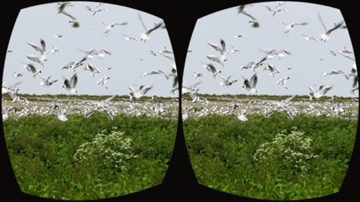 Natura 2000 VR screenshot 3